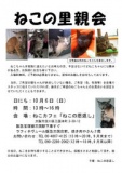 ねこの譲渡会