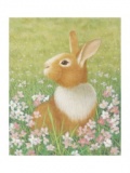 絵画展　口と足で表現する世界の芸術家たち（高松展）