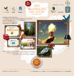 「“わたしのお気に入り”フォトコンテスト2013」作品募集!