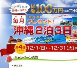 総額100万円の沖縄旅行