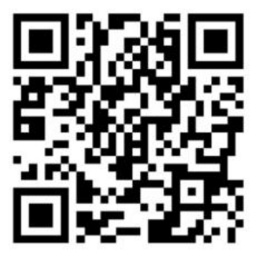 ４月２５日（土）～２９日（水・祝） はだしであそぼう！ダンボールランド／ビーゴマつくろう！