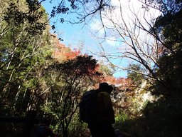 休日はアウトドア♪ 大人の野遊び倶楽部 日本一遅い紅葉と茅葺古民家を味わう! 紅葉狩りトレ...