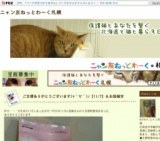 わんにゃんフェスタatばんけい
