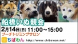 保護犬を家族に迎える譲渡会「ちばわん　船橋いぬ親会」