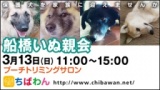 保護犬を家族に迎える譲渡会「ちばわん　船橋いぬ親会」