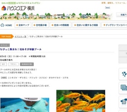 ちびっこ集まれ！池あそび体験プール | ハウスクエア横浜