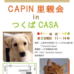 CAPIN里親会