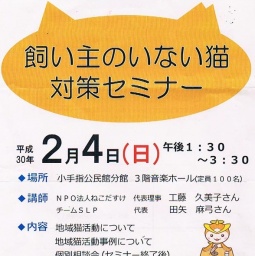 飼い主のいない猫対策セミナー
