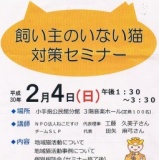飼い主のいない猫対策セミナー