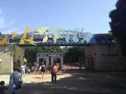 千葉市動物公園友達作り散策