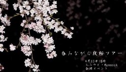 夜桜ツアー