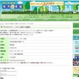 フリマ開催 でんでんタウン パラソル通り(恵美須町)