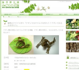 植物のクラフト作り「アダンでカタツムリを作ろう！アダンでかえるを作ろう」