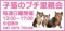 子猫のプチ里親会