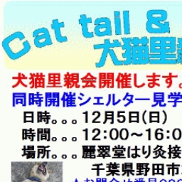 犬猫の里親探し譲渡会＆シェルター見学会