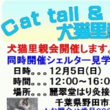 犬猫の里親探し譲渡会＆シェルター見学会
