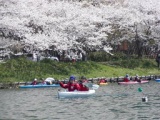 お花見カヤックツアー in 奥びわ湖　★日帰りｺｰｽ