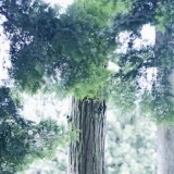 伊藤之一写真展｢隠れ里へ the invisible scene」