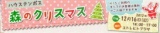 HIS企画 『森のクリスマス』 in ハウステンボス
