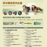 シリーズ井の頭自然文化園のカエルNo.09──ニホンアマガエル