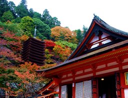 多武峰・吉野山　もみじめぐりで出逢い旅