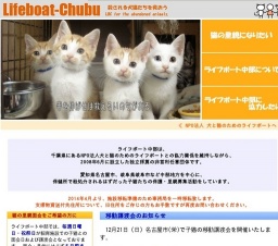 子猫との面会日および譲渡会