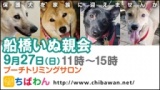 保護犬を家族に迎える譲渡会「ちばわん　船橋いぬ親会」