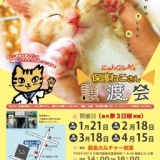 にゃんクルー譲渡会