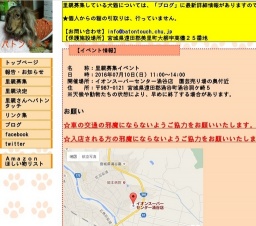 里親募集イベント