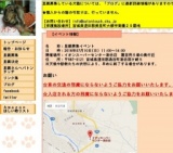 里親募集イベント