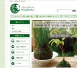 苔玉作りワークショップ