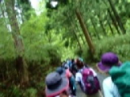 【アウトドアイベント　新緑トレッキングツアー】　社会人サークルFEAD