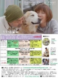 Senior Dogs Fes! vol.1