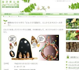 植物のクラフト作り「どんぐりで遊ぼう、ミニクリスマスリース作り」