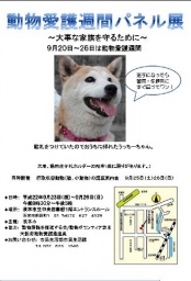 行政収容動物（猫、小動物）の譲渡案内会