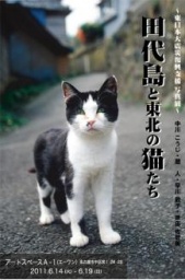 ～東日本大震災復興支援写真展～「田代島と東北の猫たち」