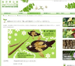 植物のクラフト作り「葉っぱで遊ぼう！ハブグヮーを作ろう」