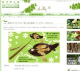 植物のクラフト作り「葉っぱで遊ぼう！ハブグヮーを作ろう」