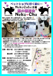 nekochu 猫の譲渡会