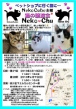nekochu 猫の譲渡会