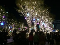 [大学生〜新社会人向け]Photo茶会＠新宿