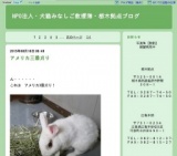 TNR開催日