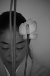 7月9日 江戸料理と静岡茶　夏「花」珠寳