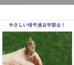 やさしい暗号通貨学習会〜ビットコインなどの暗号通貨の学習会〜初心者対象