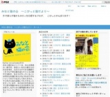 1月8日(日)猫の譲渡会 みなと猫の会主催