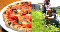 畑でお好みピザを作ろう!&玉ねぎ染めで黄色いハンカチ作り