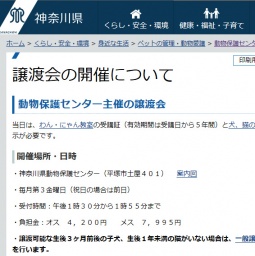 犬・猫の譲渡会