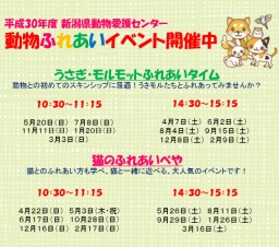 猫のふれあいべや 