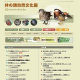 文化園育ちのカブトムシがデビュー！