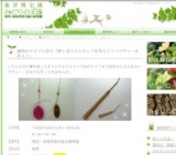 植物のクラフト作り「押し花でストラップを作ろう！ハブグヮーを作ろう」